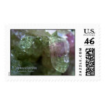Vesuvianite 2 postage