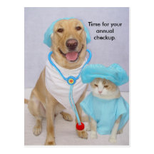 Vet Checkup Reminder Post Card