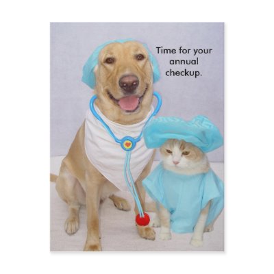 Vet Checkup Reminder Post Card by myrtieshuman