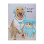 Vet Checkup Reminder postcards