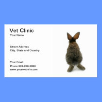 vet clinic business cards