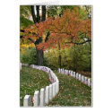 Veteran's Day cards