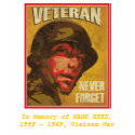 Veteran's Day - Custom Remembering a lost Veteran t-shirts by spacedust Veteran's Day - Custom Remembering a lost Veteran t-shirts