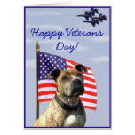 Veterans Day pitbull greeting card