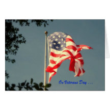 Veterans Day, Thank You -  Military Greeting Card