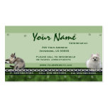 Veterinarian Appointment Business Cards ~ Green H