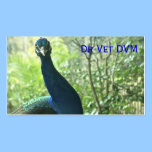 Veterinarian Business Card business cards