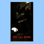 Veterinarian Business Card business cards