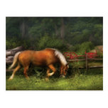 Veterinarian - In the Meadow Post Card