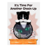 Veterinarian Reminder Postcard