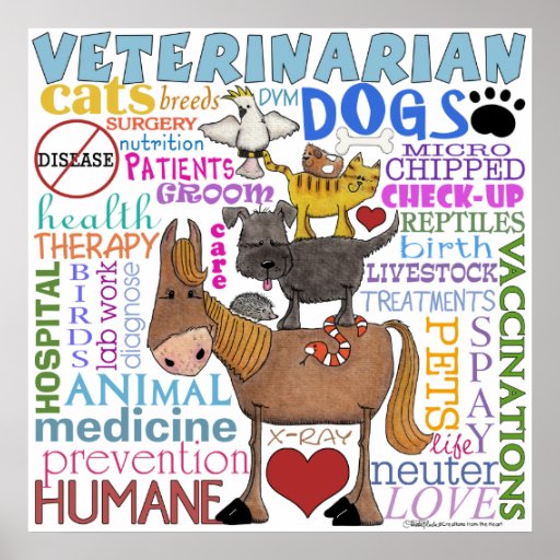 VeterinarianSubway Art Vet Terms Poster Zazzle