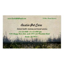 Veterinarians Business and Appointment Card business cards