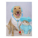 World's Sexiest Veterinarian Pet Shirt from Zazzle.com.au : awesome