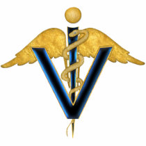 Veterinary Caduceus t-shirts by Spice Veterinary Caduceus t-shirts