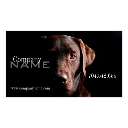 Veterinary Dog Doggy Business Card Template (front side)