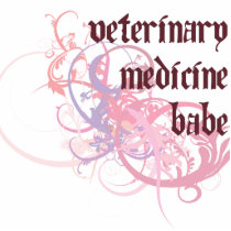 Veterinary Medicine Babe photo sculptures by busybees Veterinary Medicine Babe photo sculptures