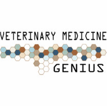 Veterinary Medicine Genius photo sculptures by itsallhot Veterinary Medicine Genius photo sculptures