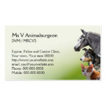 Veterinary practice appointment and business card