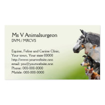 Veterinary practice appointment and business card