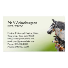 Veterinary practice appointment and business card
