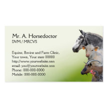 Veterinary practice appointment and business card