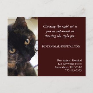 Veterinary Services Marketing Postcard postcard