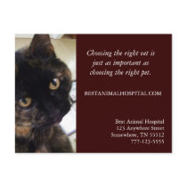 Veterinary Services Marketing Postcard by jaisjewels Veterinary Services Marketing Postcard