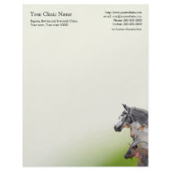 Veterinary surgeon business letterhead zazzle_letterhead