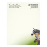 Veterinary surgeon business letterhead letterhead