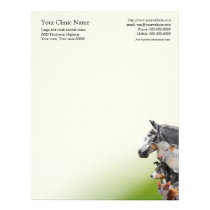 Veterinary surgeon business letterhead