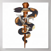 Veterinary Tech Posters