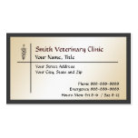 Veterinary Veterinarian Business Card