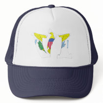 VI (Virgin Islands) hats