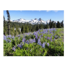 Viaje Mt. Reinier Washington Tarjeta Postal