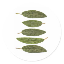 VIBIRNUM leaves PEACE stickers by dbvisualarts VIBIRNUM leaves PEACE stickers