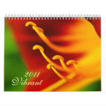 Vibrant 2011 calendar