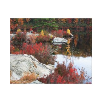 Vibrant Autumn Lake