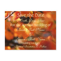 Vibrant Autumn Save the Date Wedding Postcard