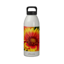 Vibrant Blanket Flower Photo Reusable Water Bottles