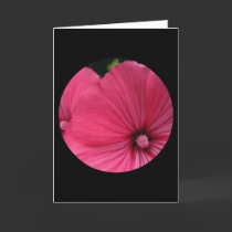 vibrant cards by stucker111 vibrant cards