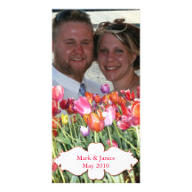Vibrant Chicago Tulips Photocard Photo Card