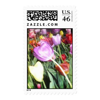 Vibrant Chicago Tulips Postage stamp