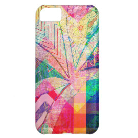 Vibrant Colorful Funky Abstract Girly Butterfly Ch iPhone 5C Case