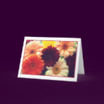 Vibrant Daisies Greeting Card