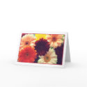 Vibrant Daisies Greeting Card