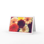 Vibrant Daisies Greeting Card
