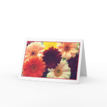 Vibrant Daisies Greeting Card by donnabellas Vibrant Daisies Greeting Card