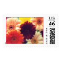 Vibrant Daisies Photo Stamp