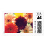 Vibrant Daisies Photo Stamp