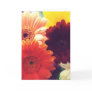 Vibrant Daisy Flower Photo Note or Greeting Card